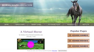 A Virtual Horse - Horse Crazy Girls