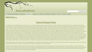 MOUDLE 3 - hauwabashorun - Google Sites
