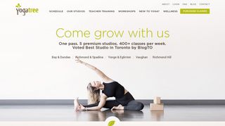 Yoga Classes Toronto - Yoga Tree Studios