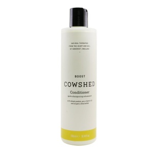 Boost Conditioner 300ml/10.14oz