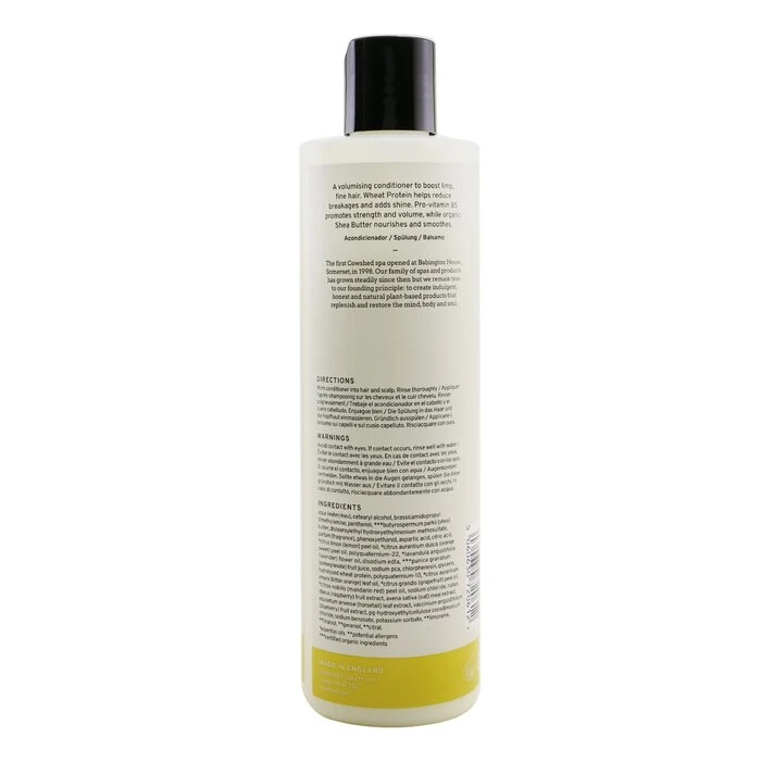 a6ab017068f018e69eb0 Boost Conditioner 300ml/10.14oz - Image 3