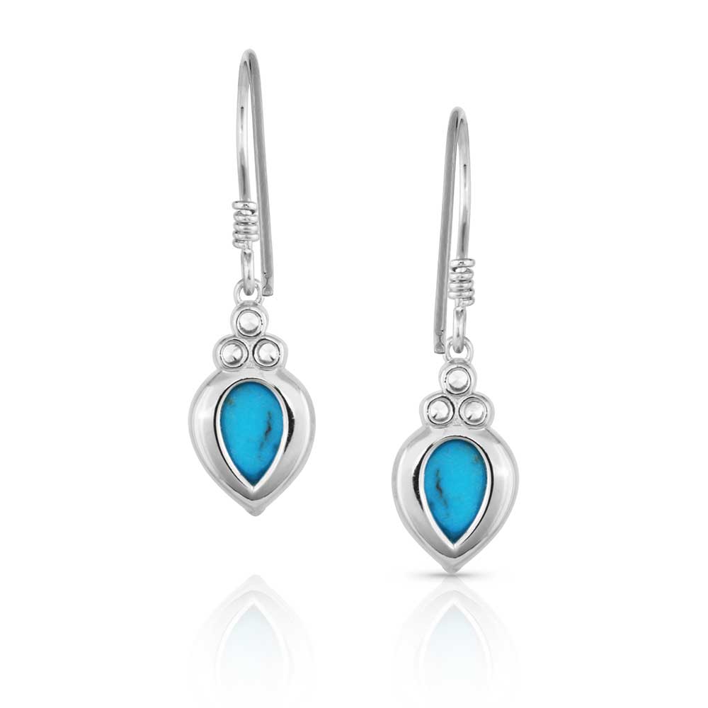 Tip of the Iceberg Turquoise Earrings