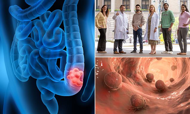 Doctors left shocked after clinical trial for cancer drug cures the disease in every participant  | Daily Mail Online