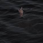 12345ok Profile Picture