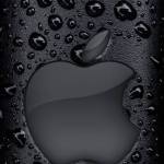 Samuel Ande Profile Picture