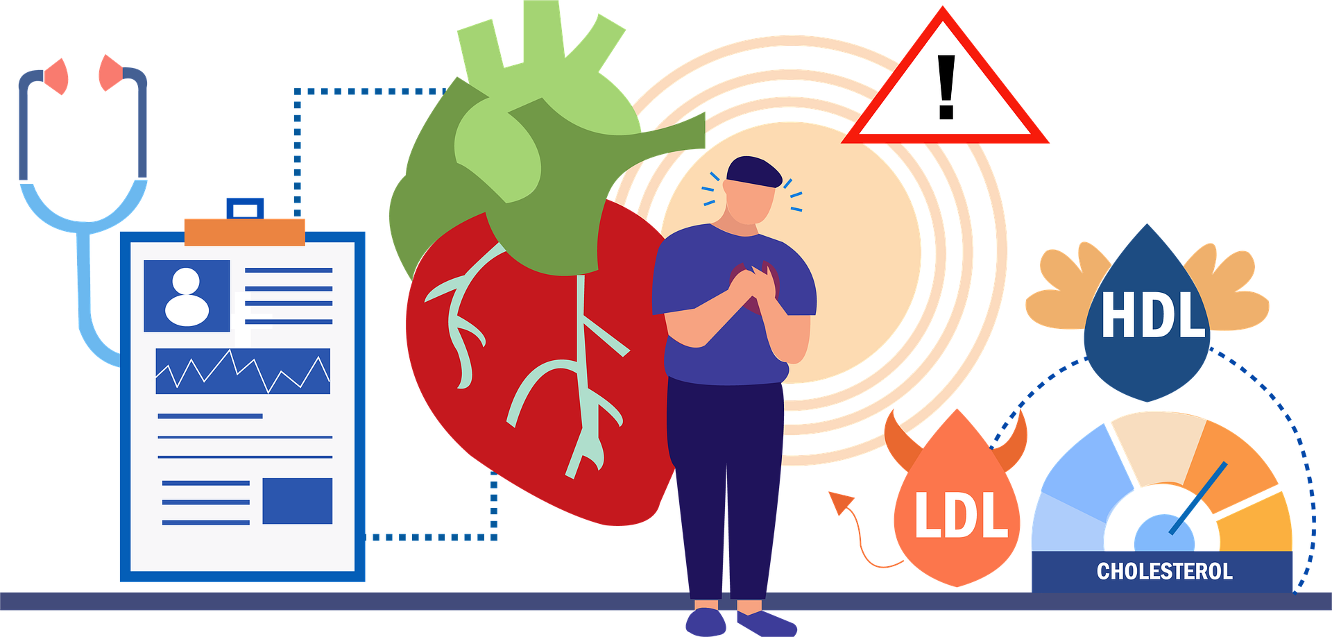 What Are The Differences Between Good And Bad Cholesterol? -