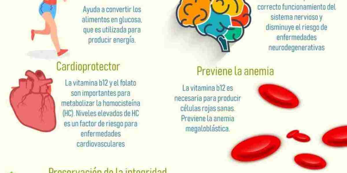 ¿La gelatina engorda o ayuda a adelgazar?: calorías y propiedades