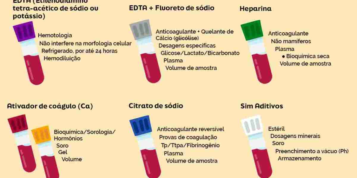 Síndrome nefrótico: Problemas de filtración del riñón en perros