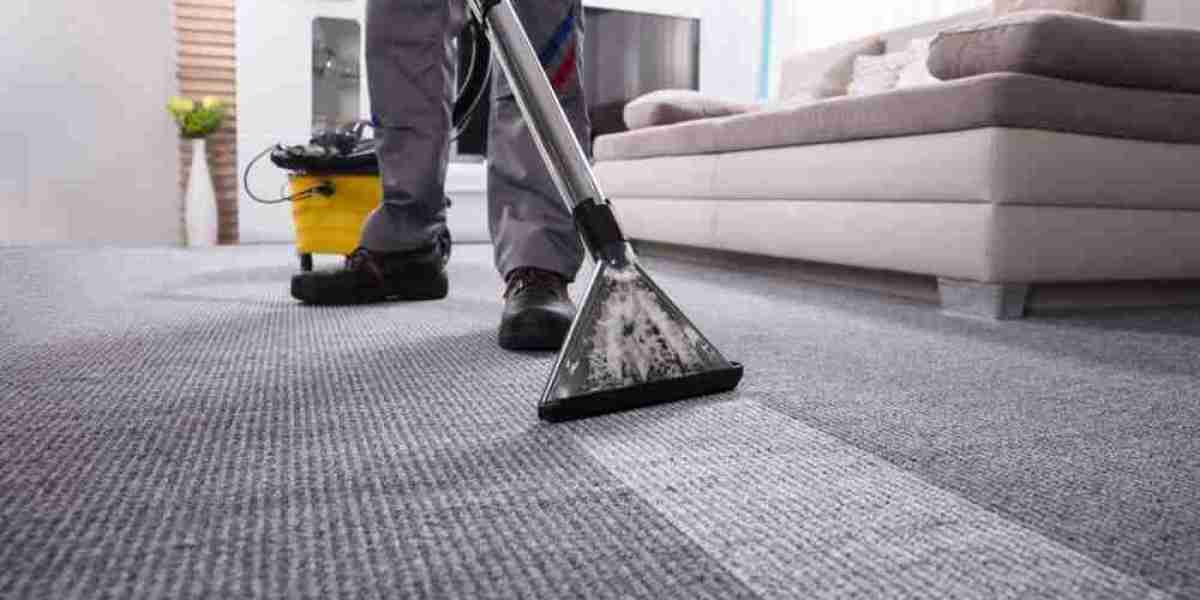 How Professional Carpet Cleaning Transforms Home Comfort Levels