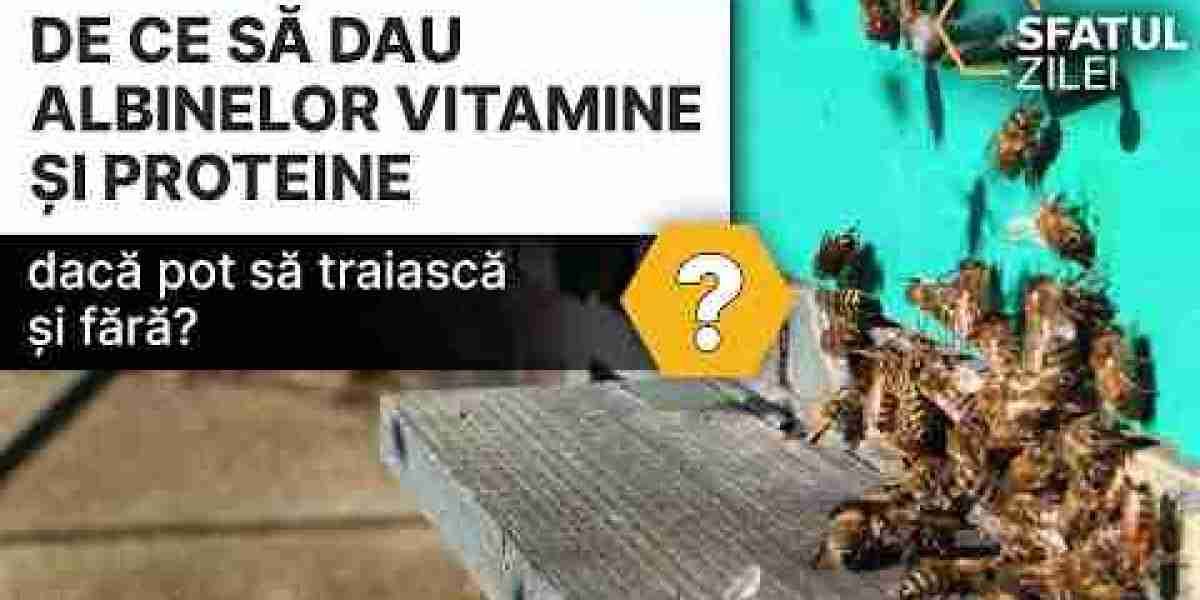 ¿Cuál es la mejor hora para consumir gelatina y qué beneficios tiene para la salud?