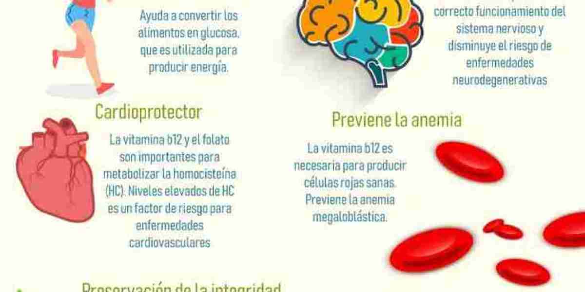 ¿Cuál es la función del potasio en el cuerpo humano?