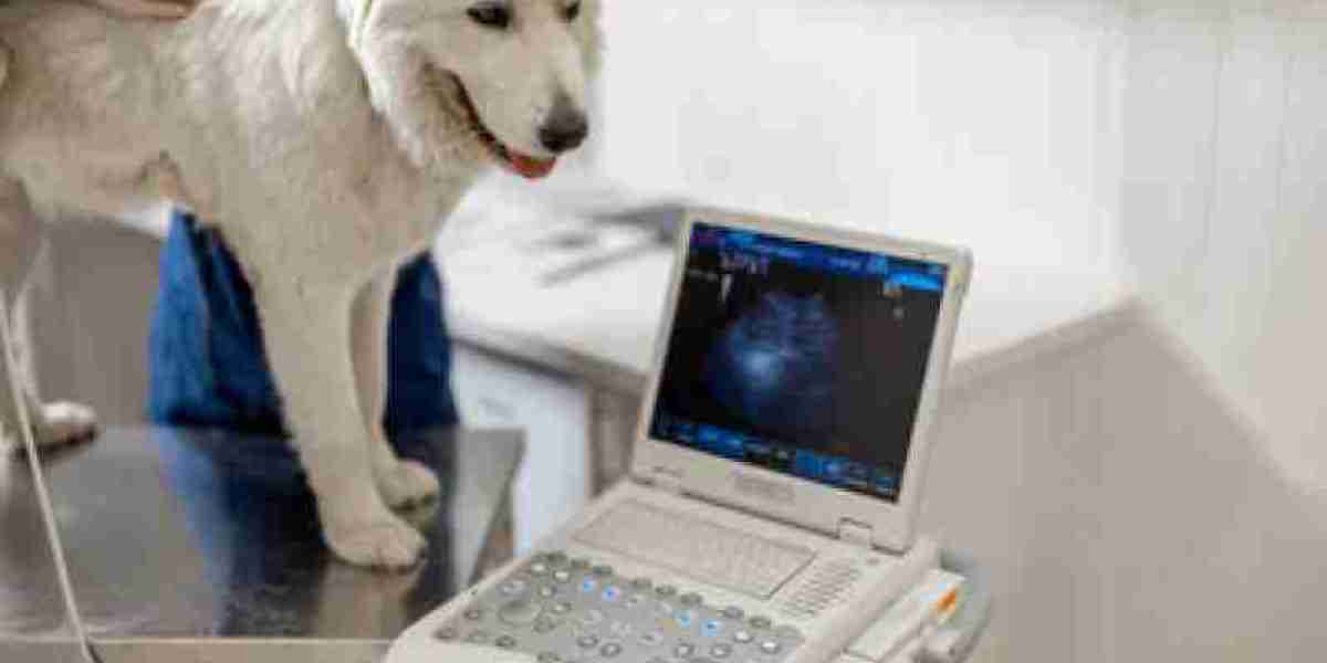 Vet 20-BT Portable X-Ray Unit Diagnostic Imaging