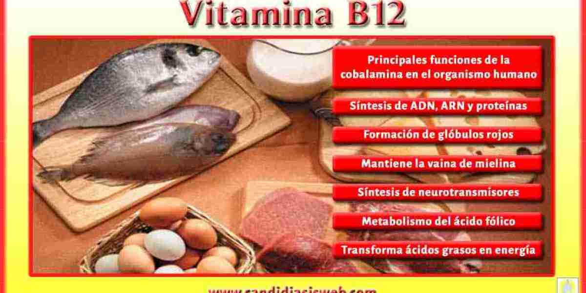 Alimentos ricos en vitamina B12 Nutrición y salud. Clínica Universidad Navarra