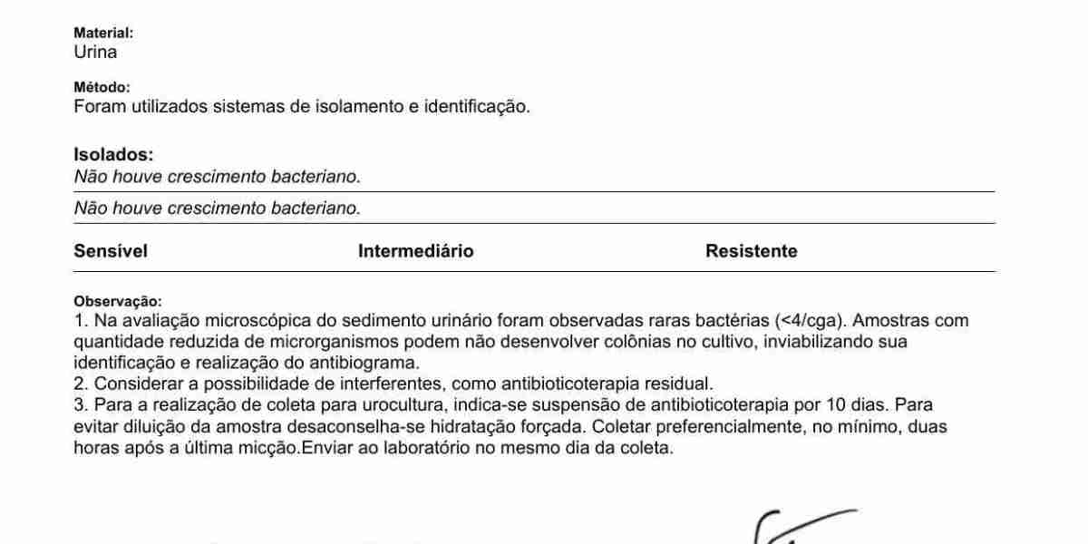 Insuficiencia Cardiaca en perros: Guía completa del corazón canino Mascota y Salud