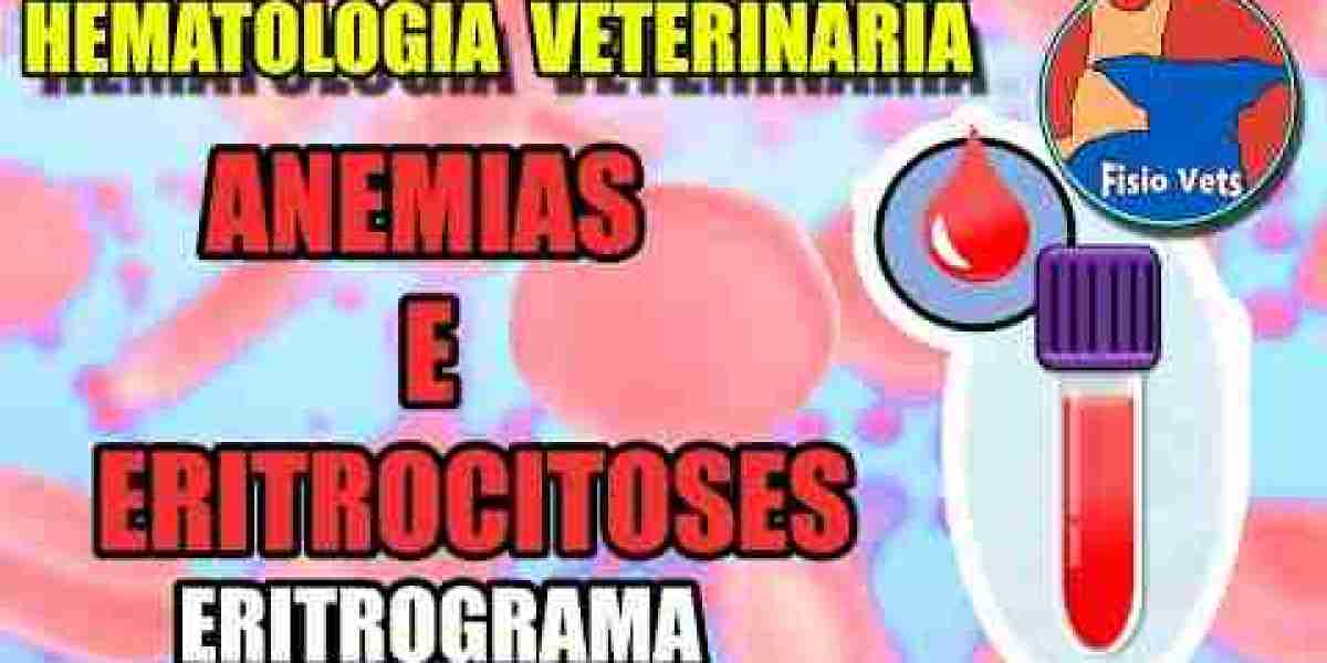 Ecocardiografía en pequeños animales Curso online Quadam Veterinaria