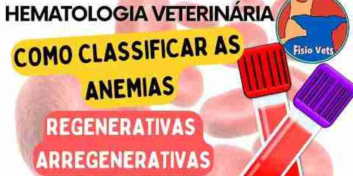 Ecografista veterinario y diagnóstico por imagen