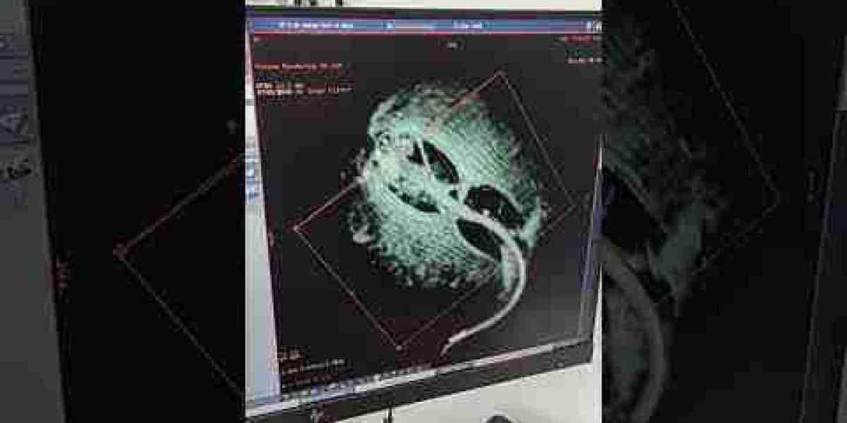 Echocardiogram for my pets heart issues