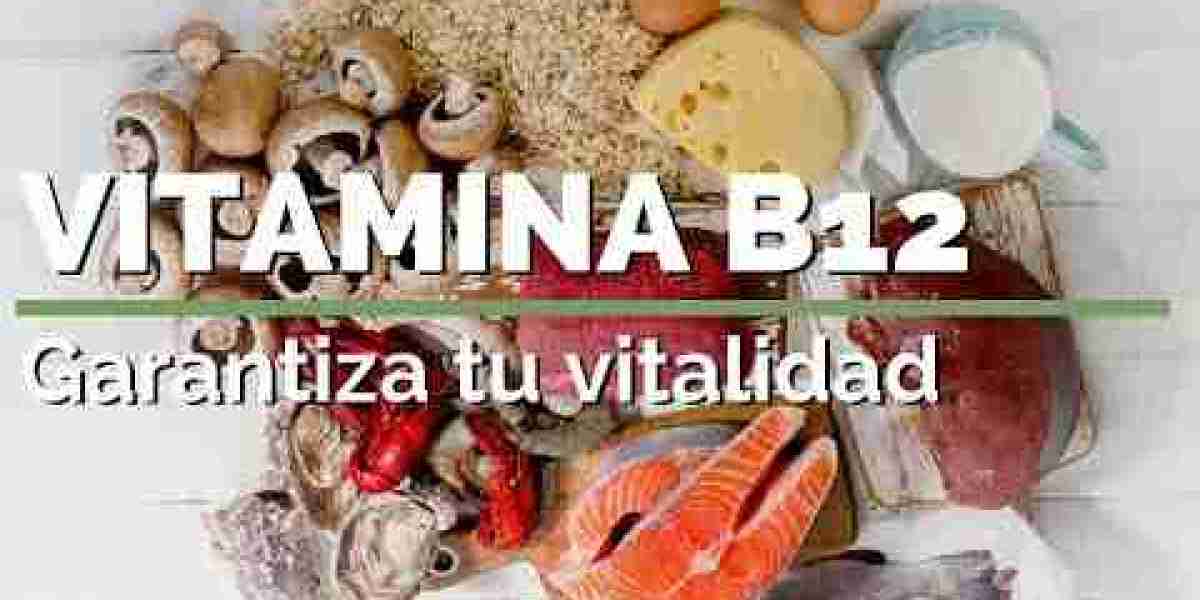 Guía completa de la vitamina B12 en pastillas para adultos