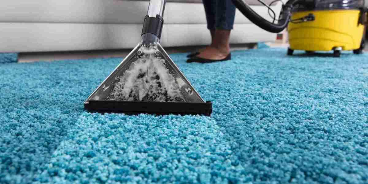 Boost Home Health and Comfort with Expert Carpet Cleaning