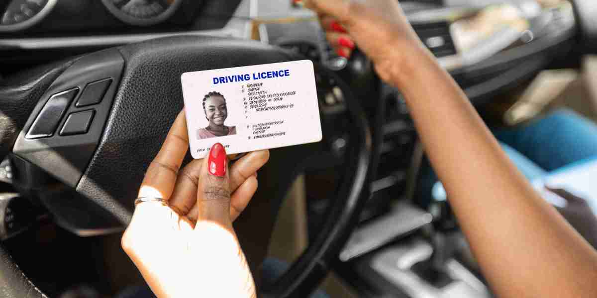 Guide To Buy Drivers Licence: The Intermediate Guide To Buy Drivers Licence