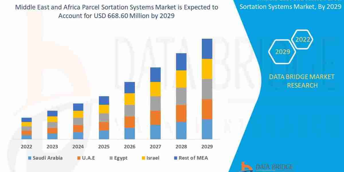 Top Parcel Sortation Systems to Improve E‑Commerce Efficiency in 2025