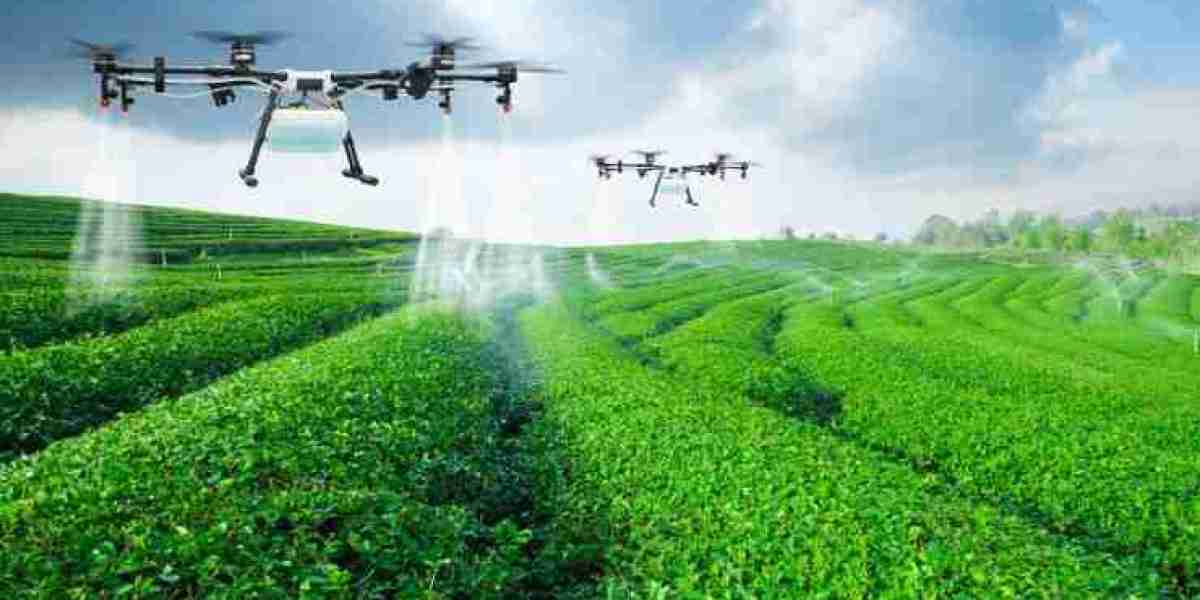 Unlocking Potential in Digital Agriculture Market Opportunities