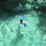 Wilson profile picture