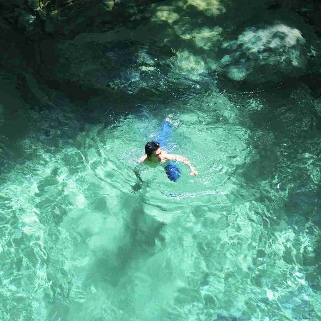 Wilson Profile Picture