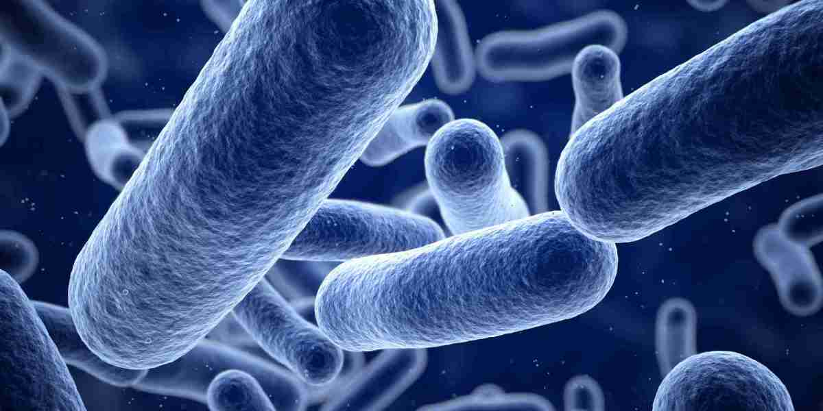 The Impact of Bacterial Infections on Health