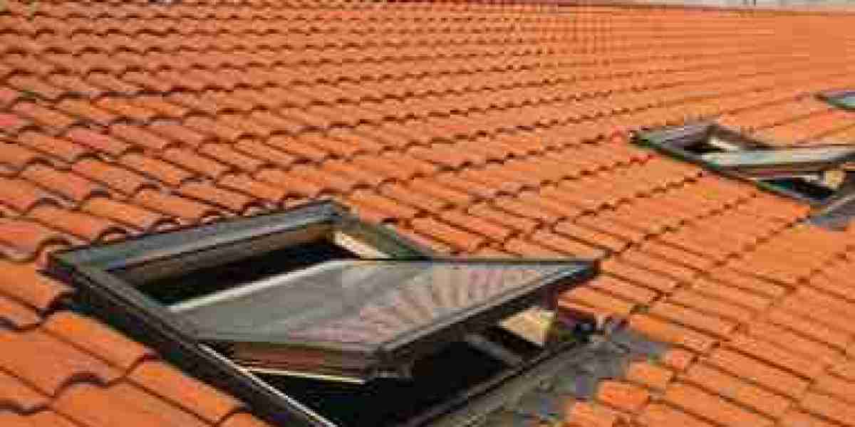 Teras Çatı Penceresi