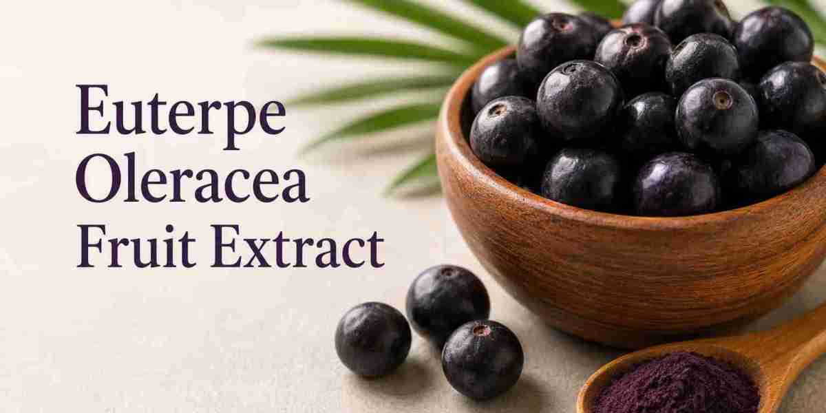 Future Outlook of the Euterpe Oleracea Fruit Extract Market 2026–2034