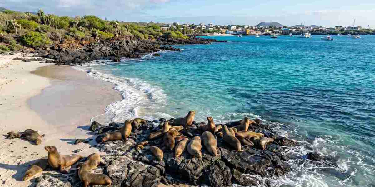 Countries That Qualify for Ecuador Visa Explained