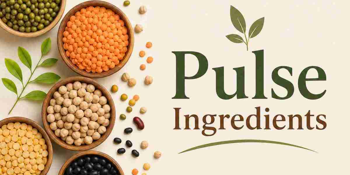 Emerging Opportunities in the Pulse Ingredients Market (2025–2031)