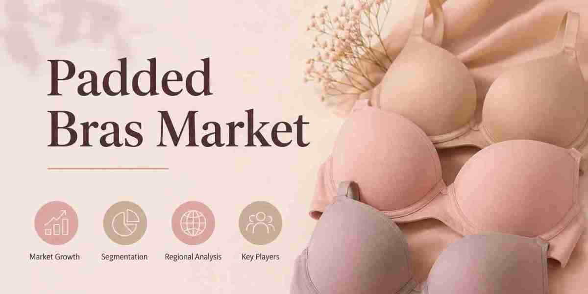 North America Padded Bras Market Outlook 2034: Regional Size, Trends, and Competitive Landscape