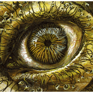 tray-3d-10x7-mushroom-eyes