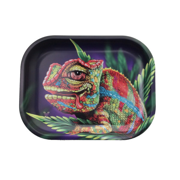 cloud-9-chameleon-small-metal-tray-7x5-5