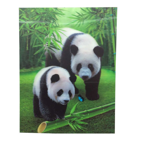 3d-art-15x11-pandas