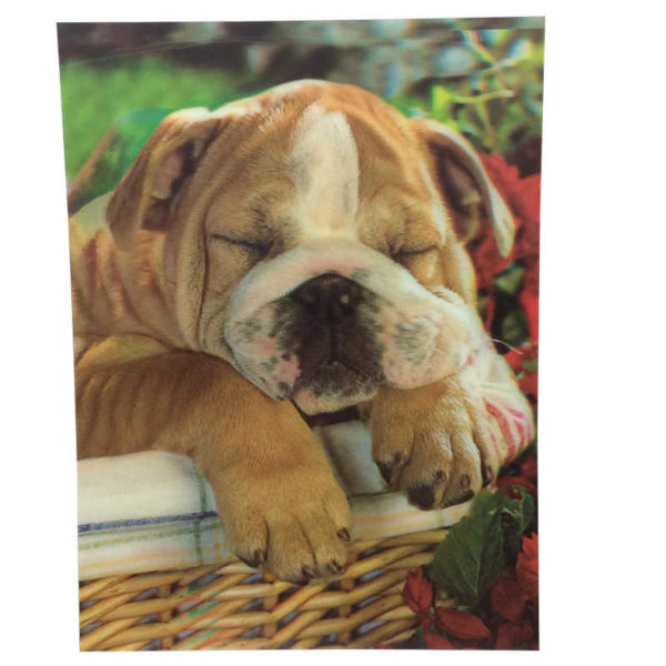 3d-art-15x11-sleeping-puppy