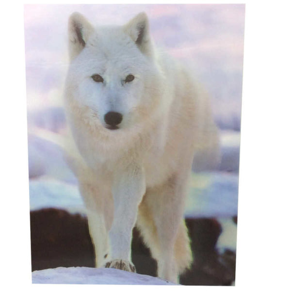 3d-art-15x11-white-wolf