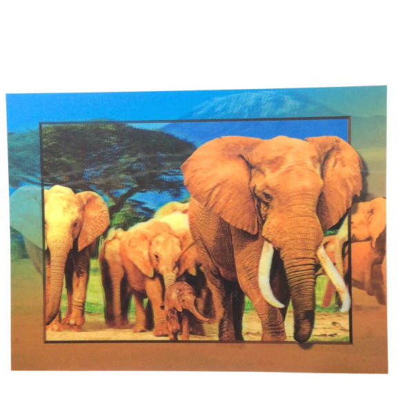 3d-art-15x11-elephants