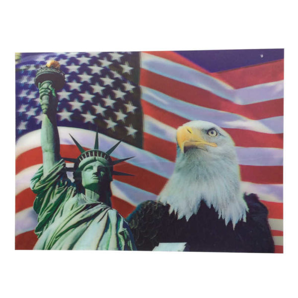 3d-art-15x11-american-pride