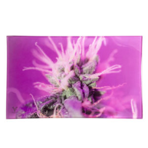 pink-lemonade-medium-glass-tray-10x6