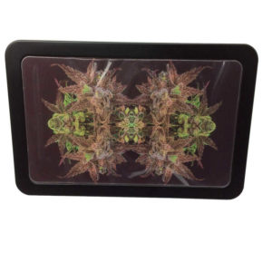 3d-canna-stash-box-kaleidoscope-7-3-4-x-5