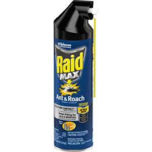 raid-max-antroach-14-5oz-85953