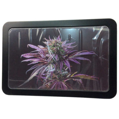 3D CANNA STASH BOX BLUEBERRY KUSH 7" 3/4 X 5"