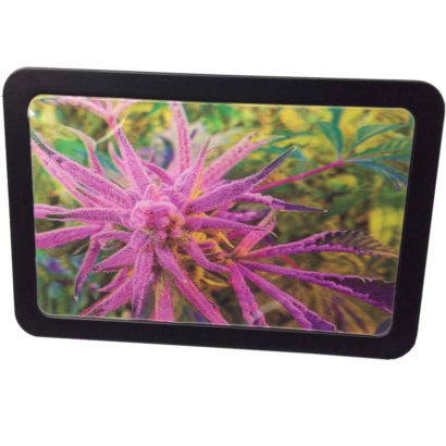 3D CANNA STASH BOX PLATINUM BUFFALO 7" 3/4 X 5"