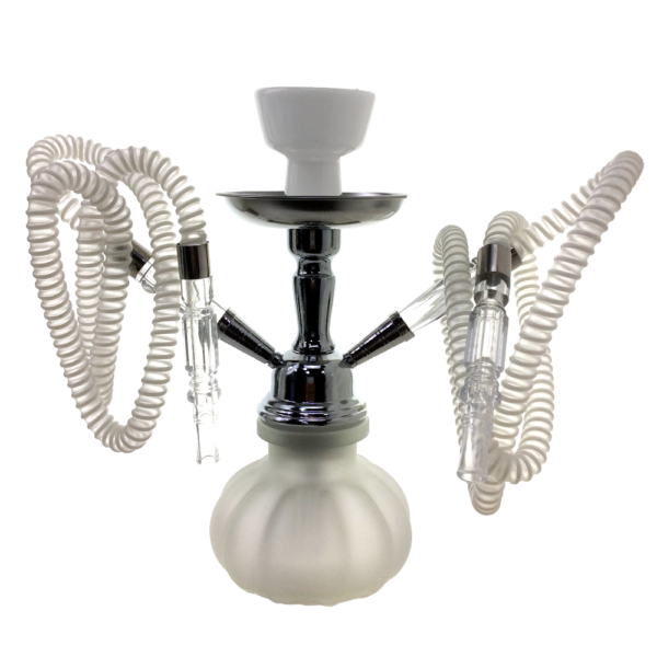 BAD SHAH PUMPKIN HOOKAH 10 INCH 2 HOSE ASSORTED COLORS