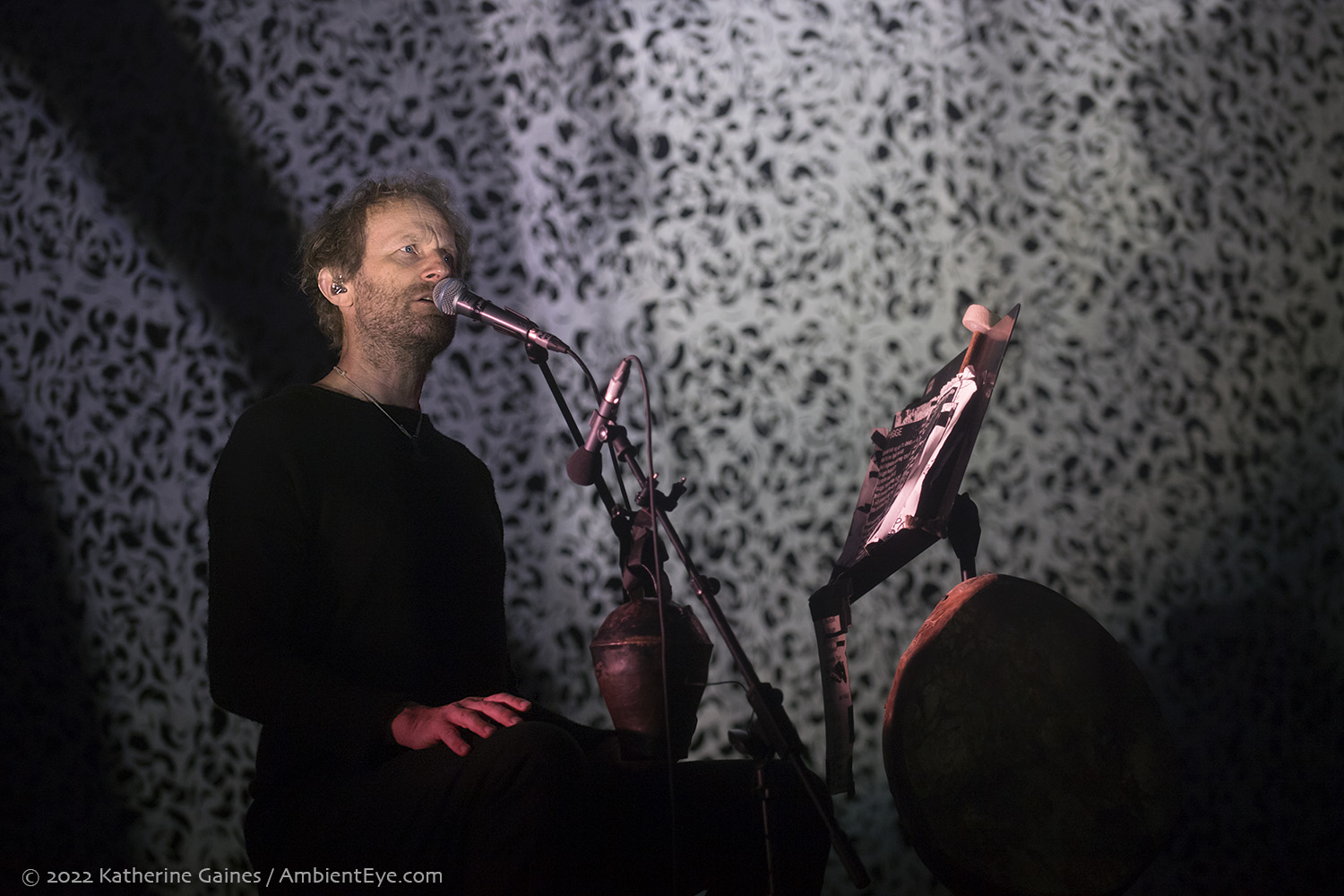 Wardruna