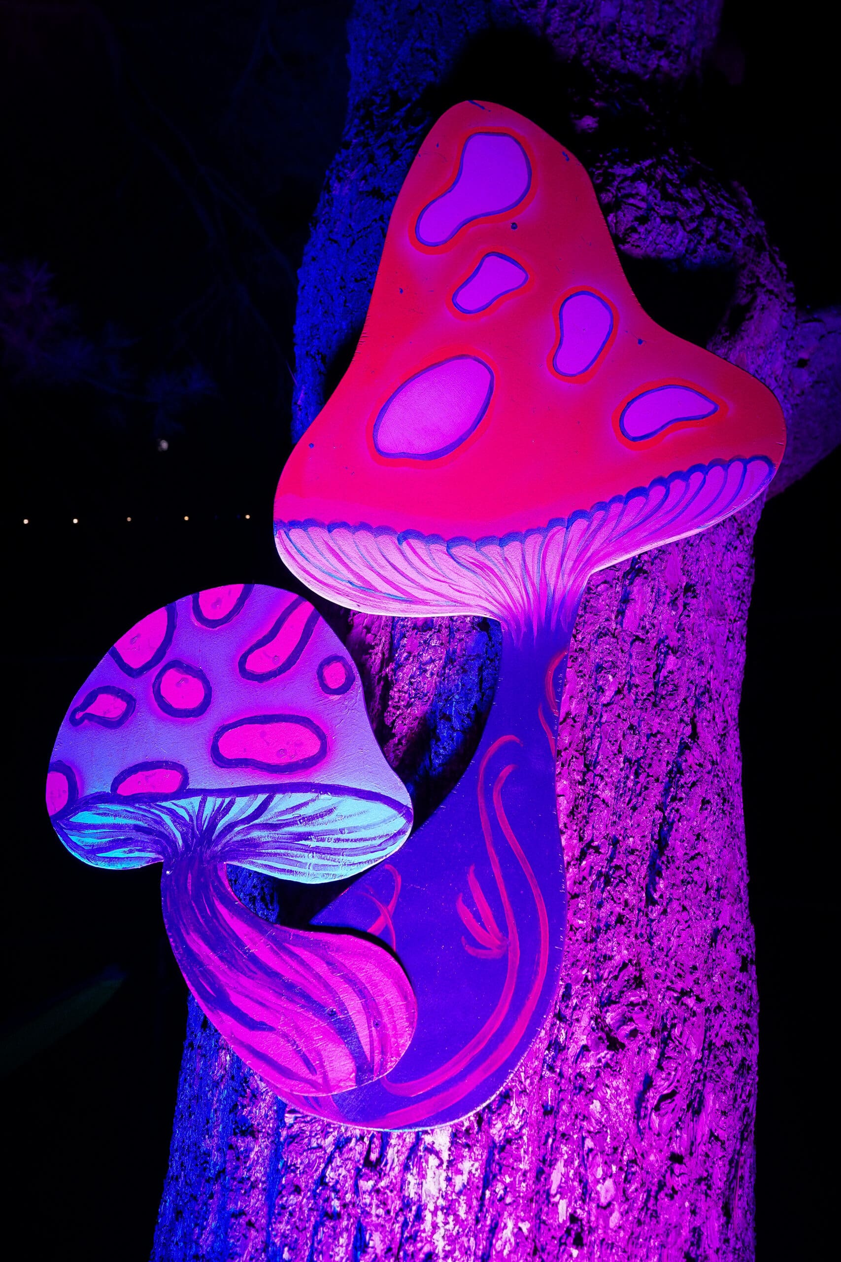 Art at Ramble Fest Photo by Casey Vock