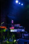 _DSC2182-copywb